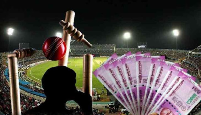 Cricket Betting Predictions