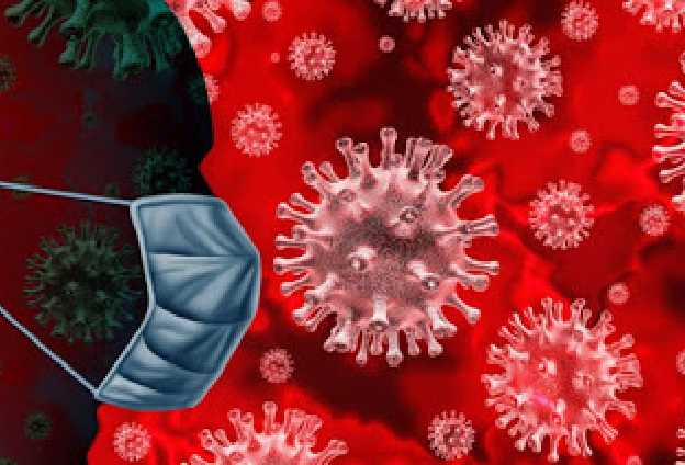  कोरोना संक्रमण के 28 नए मामले, कोई मौत नहीं   