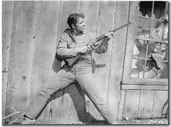 AudiewithRifle