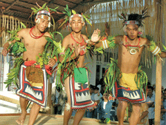 Suku Mentawai  Proto Malayan