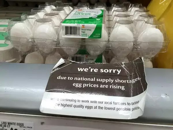 Why Egg Shortage is Happening and How to Cope with It