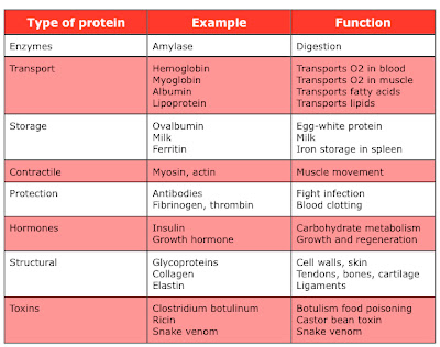 protein types