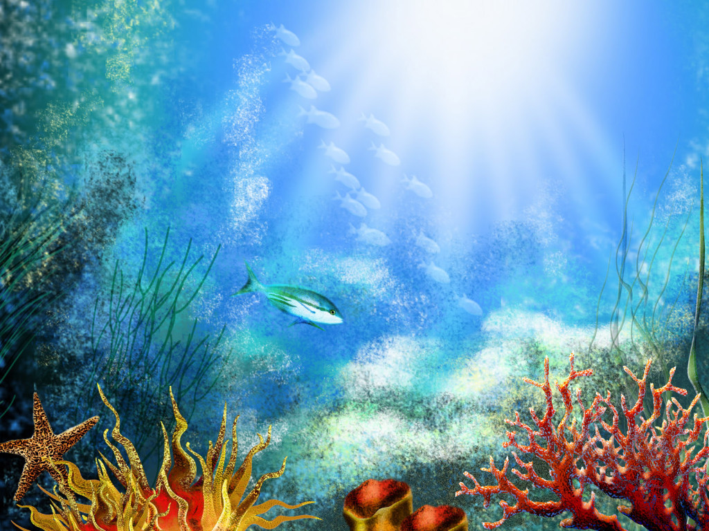 Awan Nano : Misteri haiwan di lautan