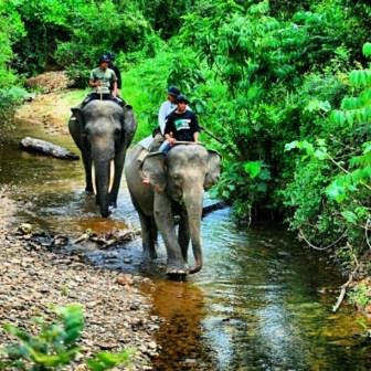  TEMPAT WISATA DI PESISIR BARAT KRUI LAMPUNG YANG WAJIB DIKUNJUNGI 15 TEMPAT WISATA DI PESISIR BARAT KRUI LAMPUNG YANG WAJIB DIKUNJUNGI