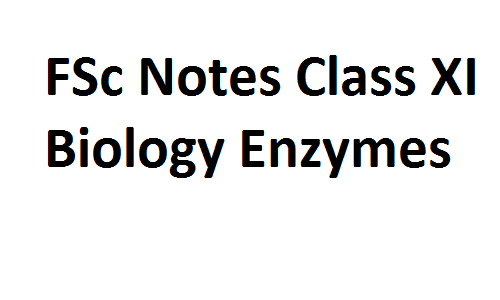 FSc Notes Class XI Biology Enzymes fscnotes0