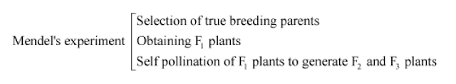 HEREDITY AND EVOLUTION