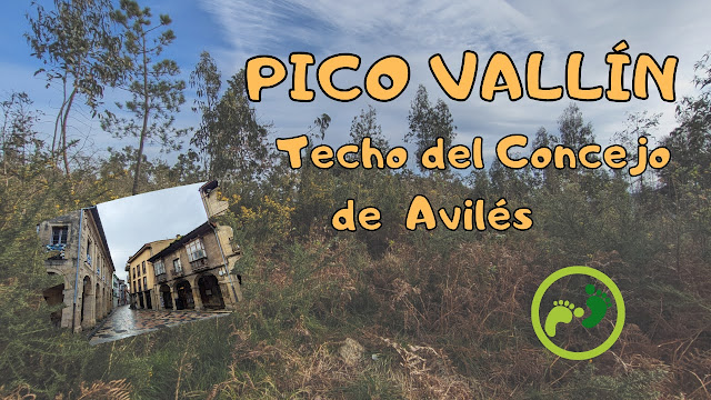Pico Vallín, Techo del Concejo de Avilés