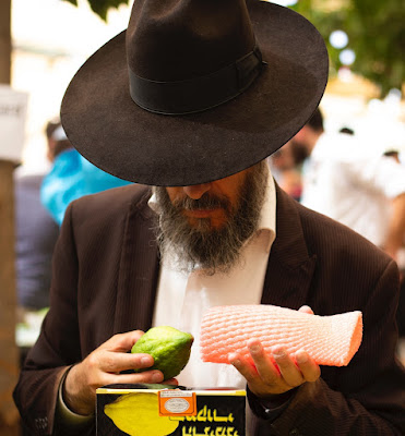 Hareidi man checking an etrog (Credit: Esther Wechsler/Unsplash)