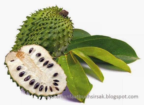 Madu Klor Xanthone Kids Alzafa Store Madu Klor Xanthone Kids Alzafa Store