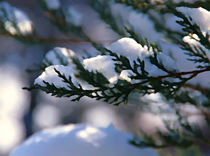 snow1b