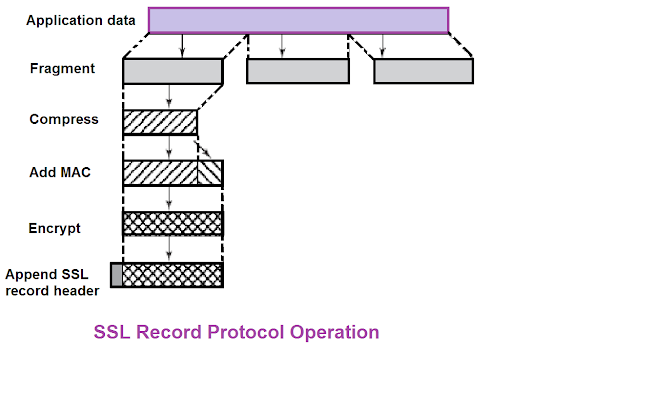 ssl record protocol
