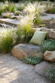 Australian Native Garden Landscapes - Buddy Blog Ideas