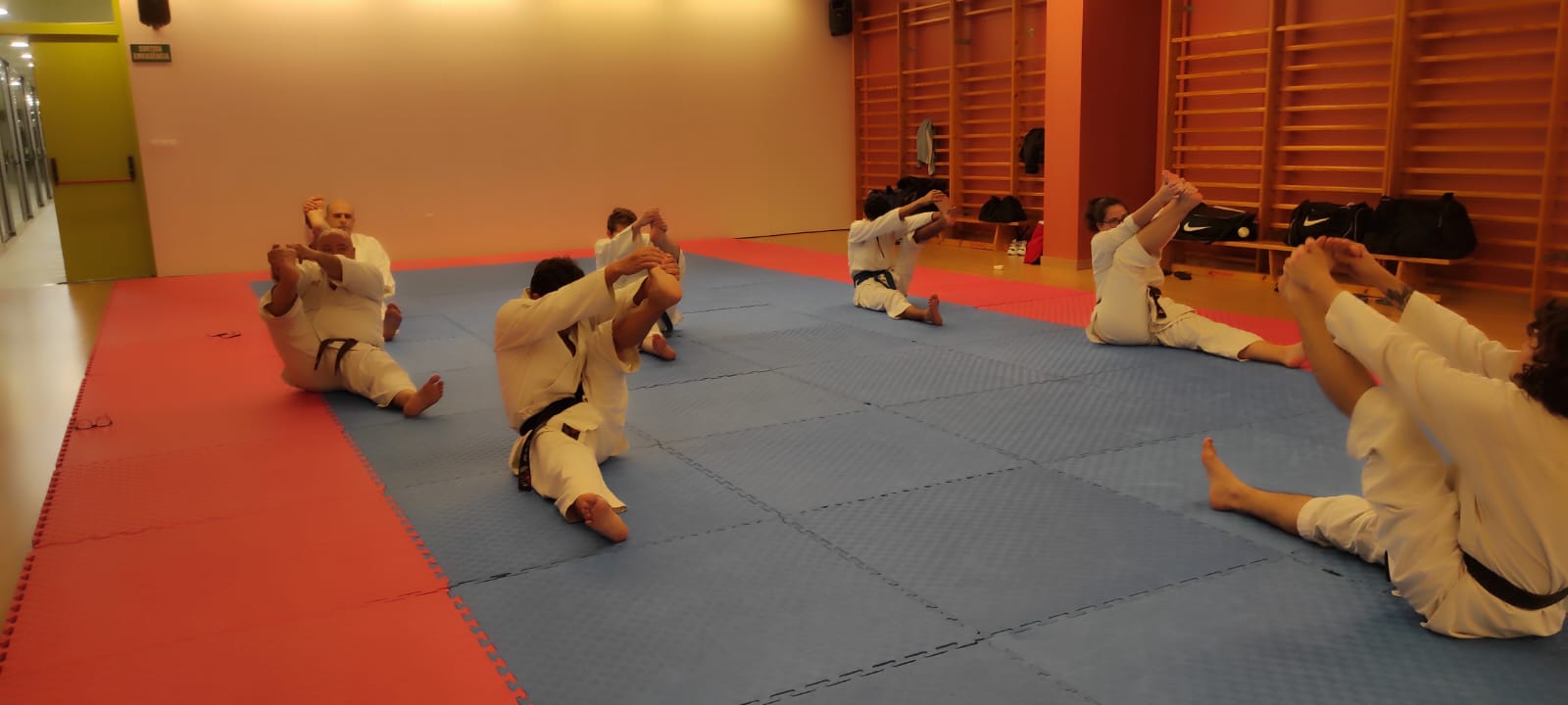 karate sabadell