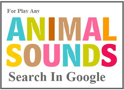 Google Ke Naye Tools Ki Help Se Sune Animals Ki Sound