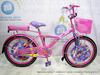 City Bike Family Flubber 20 Inci