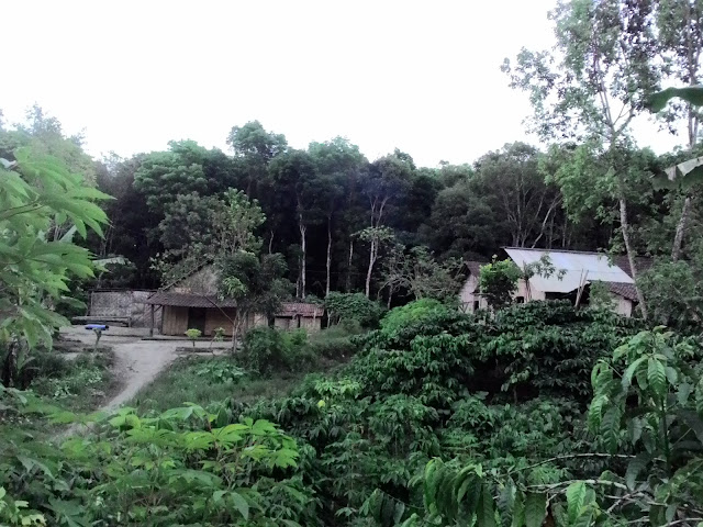 kampung-gunung-raung