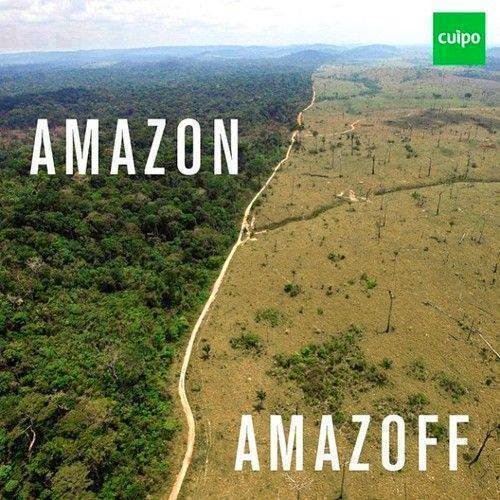 amazon