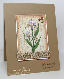 ODBD Iris, Blushing Rose Designer Paper Collection, Card Designer Angie Crockett