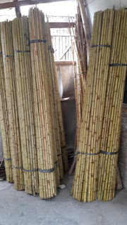 rumah bale bambu murah