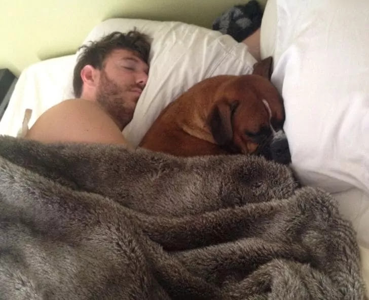 18 Loving Pets That Truly Stole Their Owners' Hearts