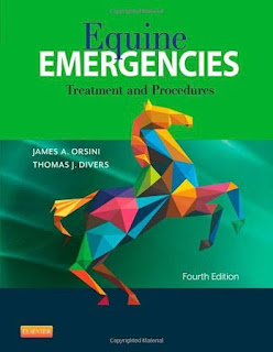 Equine Emergencies Treatment and Procedures 4th Edition PDF