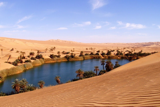 Fabulous Oasis in The Libyan Sahara