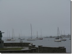 IMG_3915 IMG_3915