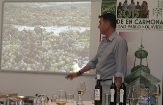 Fran León Vinos Andaluces