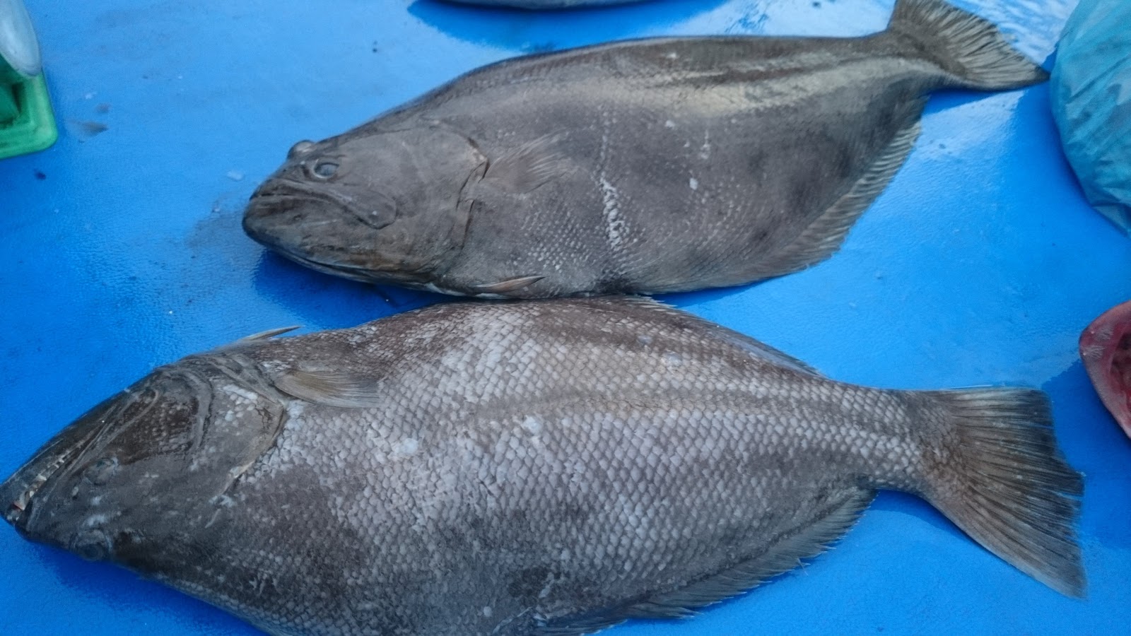 Resipi Ikan Sebelah Masak Asam Alia Farhan