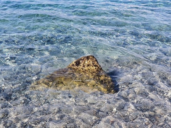 Il mare d'autunno - Mediterraneo