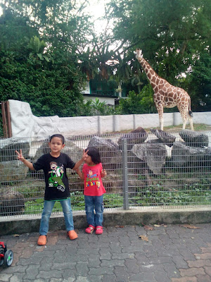 lawatan ke zoo negara