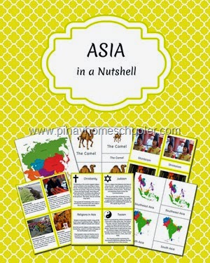 Asia in a Nutshell