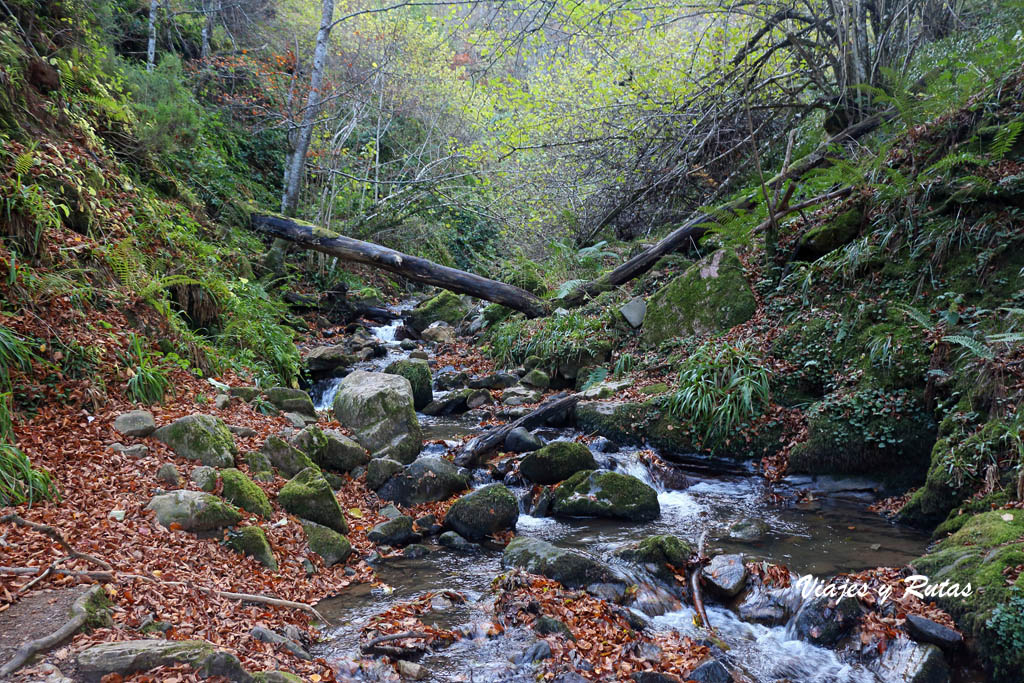 Ruta al Hayedo de Montegrande y la Cascada del Xiblu