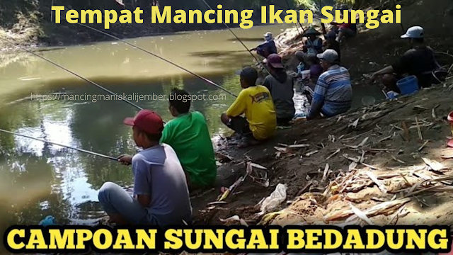 Spot Mancing Sungai Spot Udang Galah Di Sungai Spot Mancing Ikan Tawes Di Sungai Spot Mancing Udang Galah Spot Ikan Baung Spot Mancing Di Sungai Spot Mancing Rawa Spot Mancing Ikan Baung Di Sungai Spot Ikan Nila Di Sungai Spot Mancing Ikan Baung Spot Mancing Ikan Lele Spot Mancing Lele