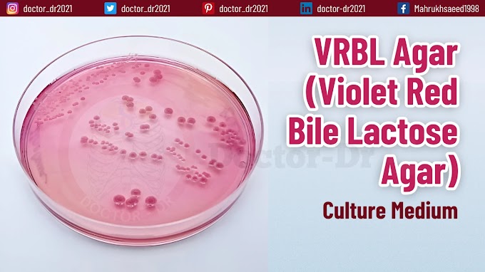 Violet Red Bile Lactose Agar: Selective Medium for the Detection of Lactose-Fermenting Bacteria