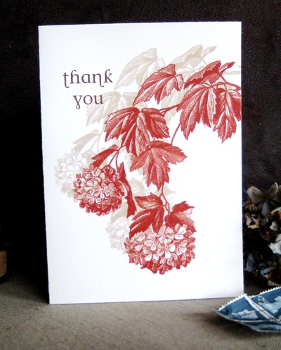 thank you letter. unique thank you card ideas.