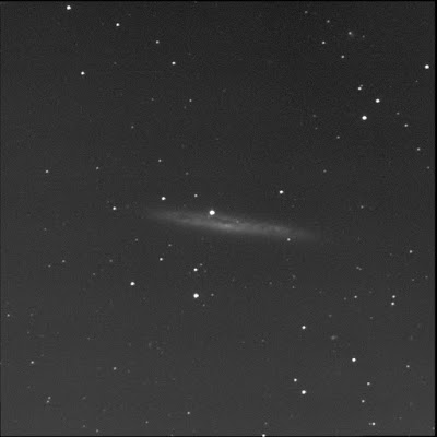 galaxy NGC 4517 in luminance