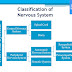 Basic Concepts of Neuropharmacology