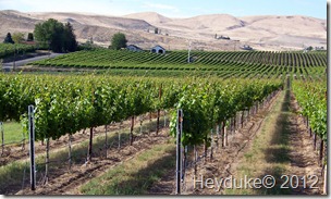Zillah Washington wineries