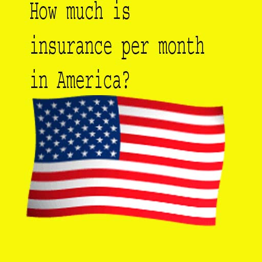 How much is insurance per month in America?
