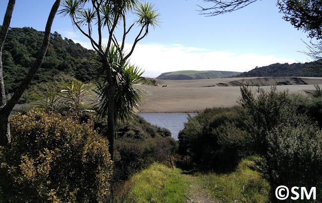 Photo de la dune de sable et du lac de Wainamu Waitakere Regional Park Auckland Nouvelle-Zélande