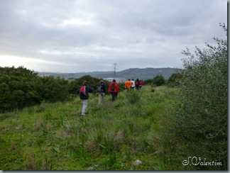 P1000563