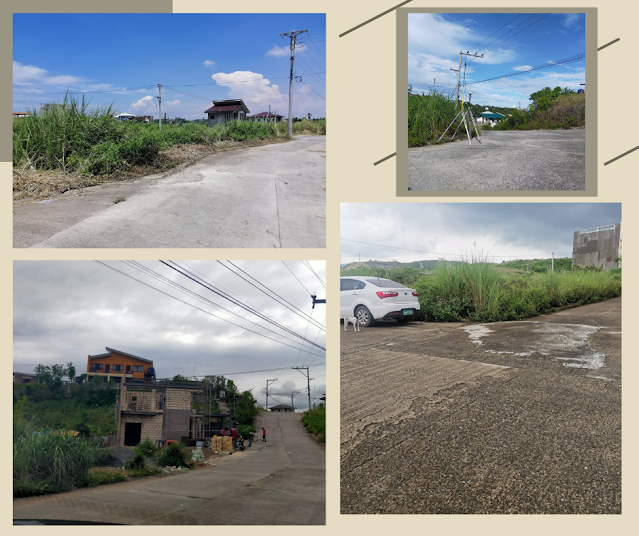 Invest Lot in San Vicente Liloan Cebu