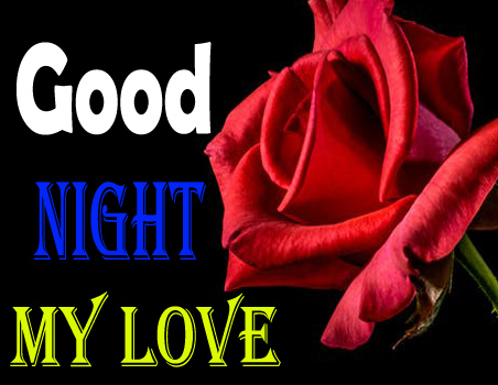 Romantic Love Good Night Flowers for Girlfriend, Boyfriend