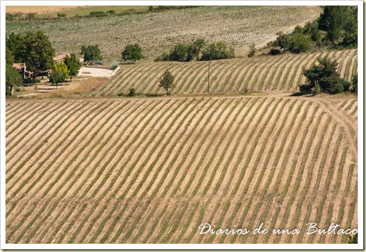 Mont Ventoux-15