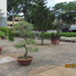 View album