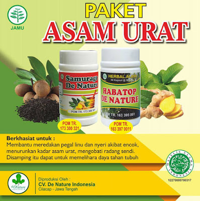 Obat Rematik dan Asam Urat