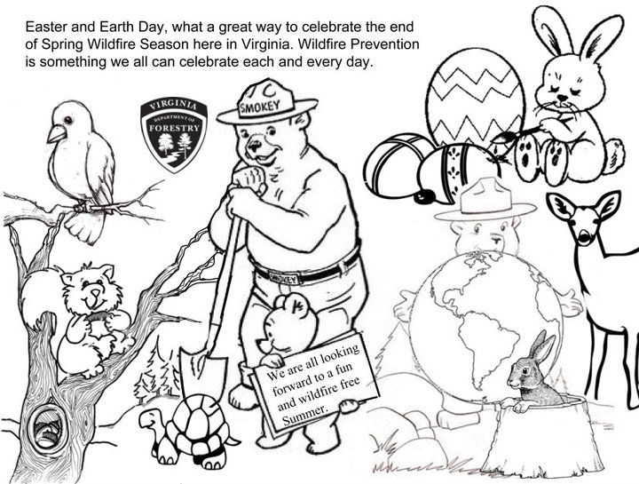 970 Collections Smokey Bear Coloring Pages  Latest Free