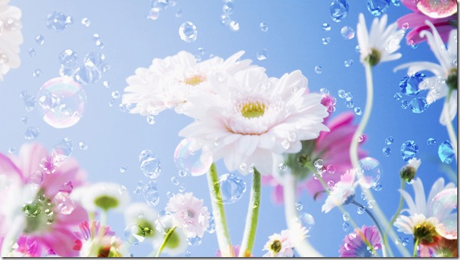 margaritas flores (42)