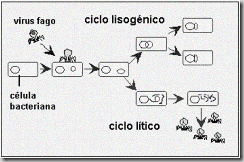 clip_image010